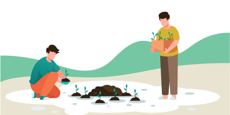 Plantar árboles como forma de mitigar el cambio climático