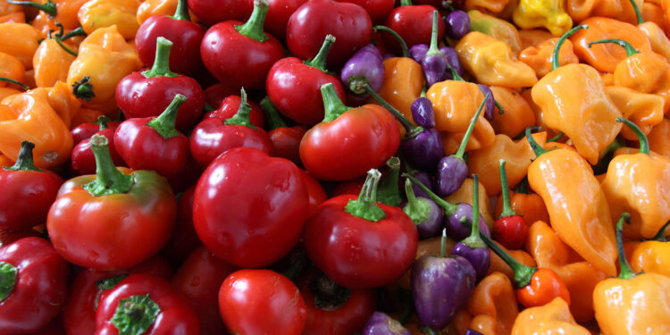 Nueva aplicación para reconocer frutas y verduras