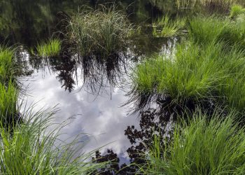 Colectivo eléctrico fabricado con botellas recicladas