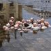 Esperando al Cambio Climático, del artista Isaac Cordal