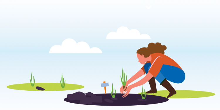 La huerta en casa. Qué plantar en primavera