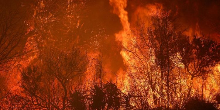 Presentan un proyecto para poner fin a los incendios intencionales