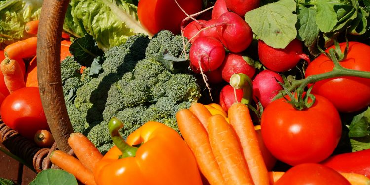 Inmunonutrición: cuando la comida es salud