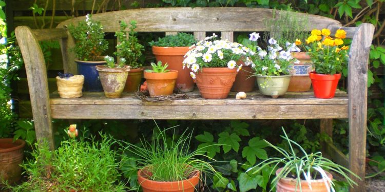 La jardinería ayuda a elevar el nivel de bienestar