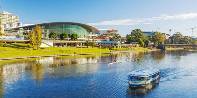 Irlanda tiene un plan para plantar 440 millones de árboles hasta 2040