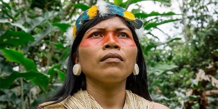 Nemonte Nenquimo, la indígena que detuvo a las petroleras
