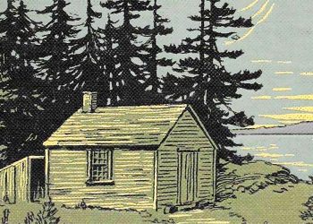 Todo lo bueno es libre y salvaje