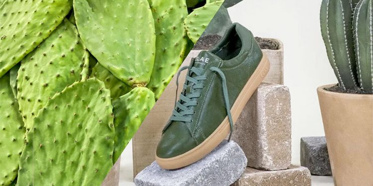 El clamor de los bosques, de Richard Powers