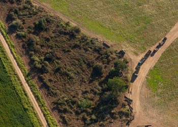 9 de cada 10 argentinos queremos que se frene la deforestación