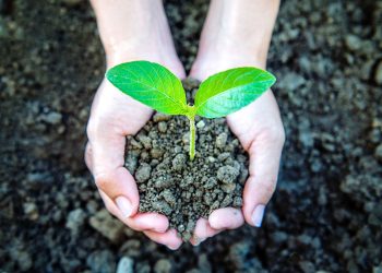 Avanza la Ley de Educación Ambiental Integral