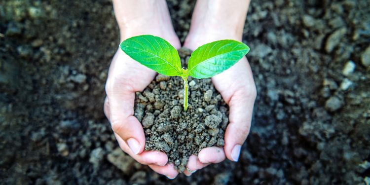 Avanza la Ley de Educación Ambiental Integral