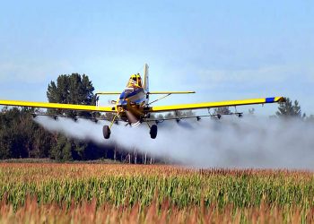 “En pueblos fumigados, el 50% de la gente se muere de cáncer”