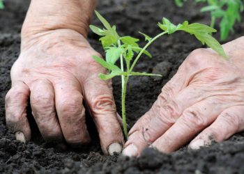 La moda en busca de una producción más sustentable