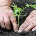 La moda en busca de una producción más sustentable