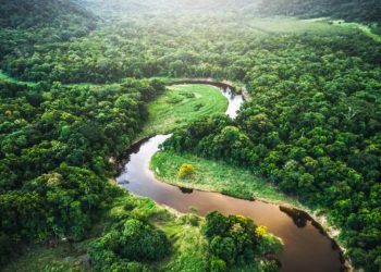 Brasil, la Amazonía y el cambio climático