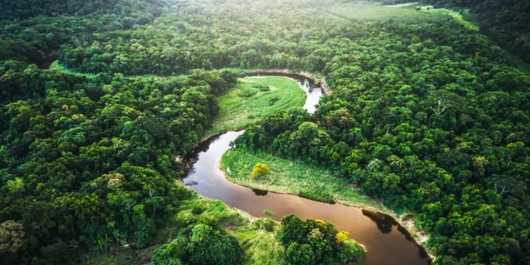 Brasil, la Amazonía y el cambio climático