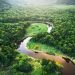 Brasil, la Amazonía y el cambio climático