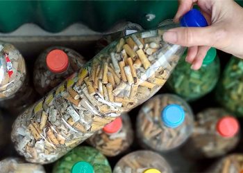 Ambientalistas recolectaron 500 mil colillas de cigarrillos de las calles de Ushuaia