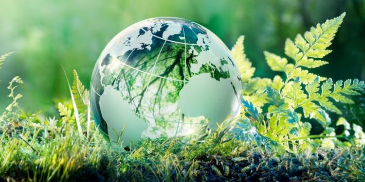 Deuda externa y deuda ecológica: ¿quién le debe a quién?