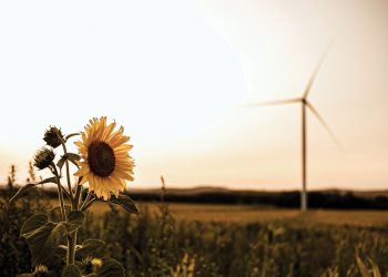 Energías con futuro