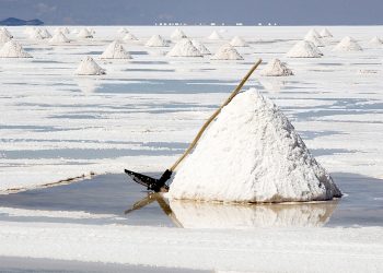 Argentina y China: el litio, el transporte eléctrico y el debate del desarrollo