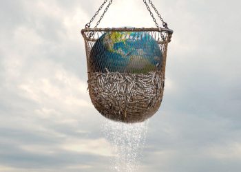 Seaspiracy, la contaminación del océano y sus efectos sobre la vida marina