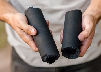 Carbón ecológico para cuidar los árboles