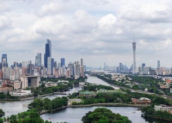 Ciudades biofílicas: recuperar la relación con la naturaleza