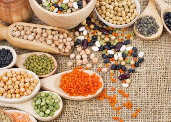 Nutrición: no olvidarse de las legumbres