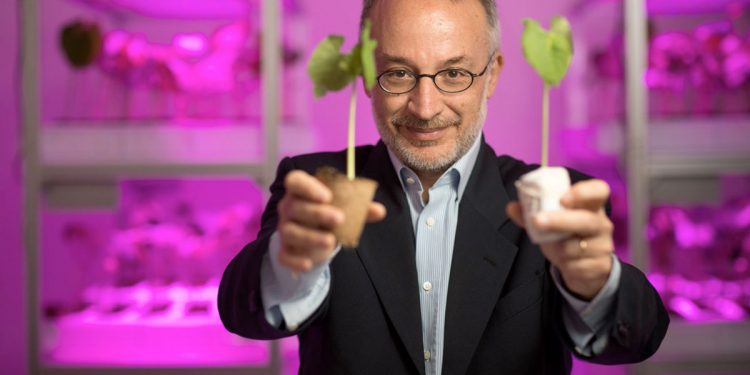 “Como especie, los sapiens somos mucho más estúpidos que las plantas”