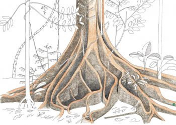 Los humanos solo somos uno más