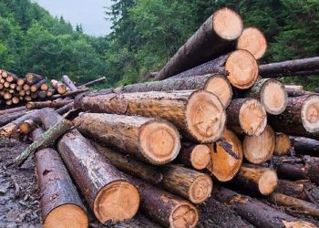Argentina entró en default ambiental