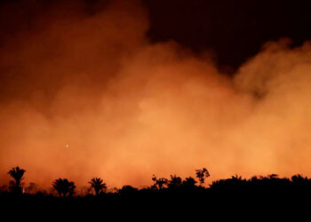 Ecocidio: un nuevo delito para proteger al planeta de la humanidad