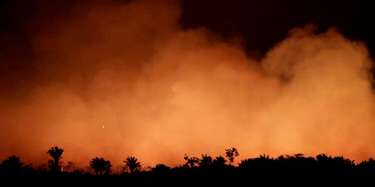 Ecocidio: un nuevo delito para proteger al planeta de la humanidad