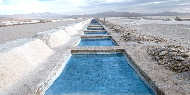 Argentina tendrá una planta de fabricación de baterías de litio