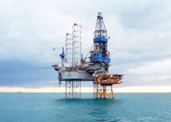 Alertan por el impacto de la exploración sísmica en el Mar Argentino