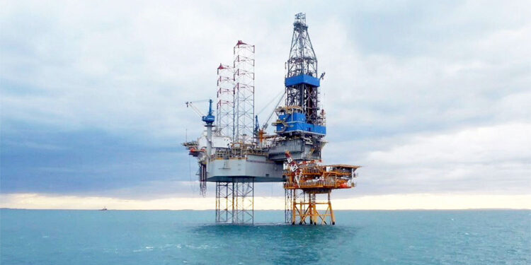 Alertan por el impacto de la exploración sísmica en el Mar Argentino