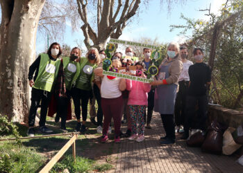 ¿Y si talan menos y plantamos más?