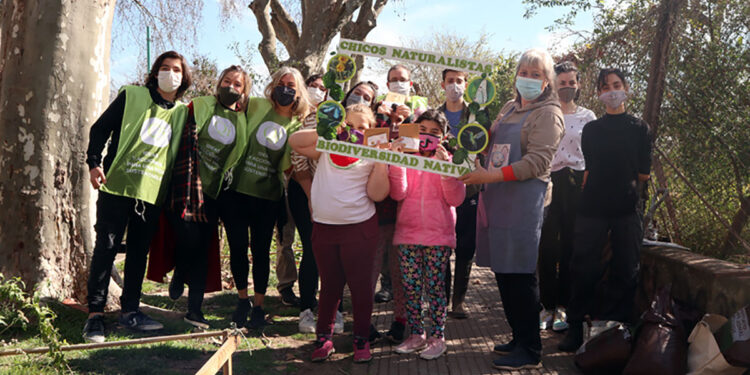 ¿Y si talan menos y plantamos más?