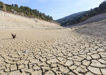 América Latina fue la región más afectada por el cambio climático en el 2020