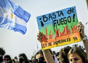 Todo lo ambiental es político