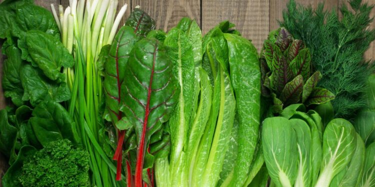 verduras