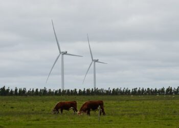 Uruguay y su camino hacia una economía baja en carbono