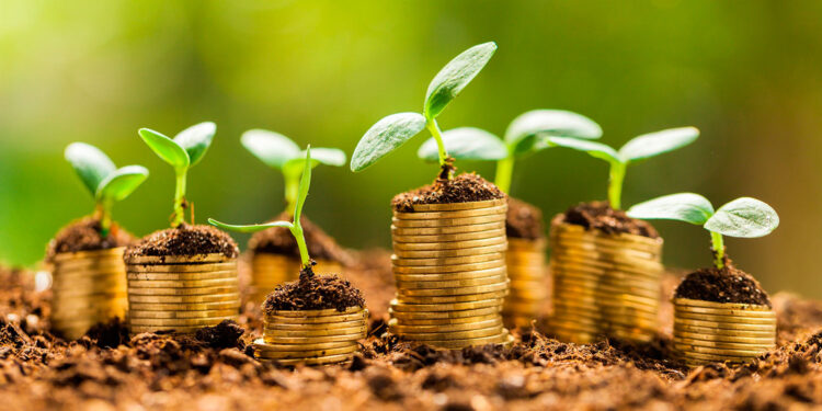 Bonos Verdes: el gran valor de invertir en proyectos sustentables