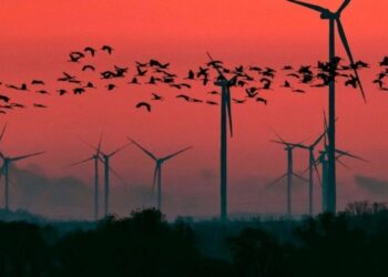 Un punto ciego en nuestra respuesta al cambio climático