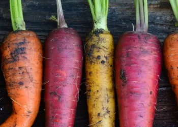 El boom de las frutas y verduras orgánicas y agroecológicas