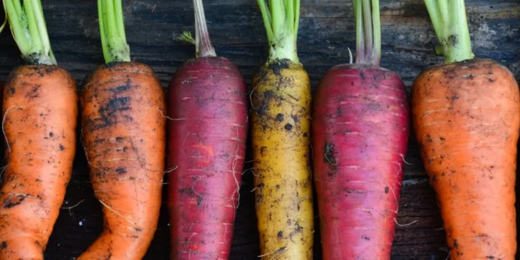 El boom de las frutas y verduras orgánicas y agroecológicas