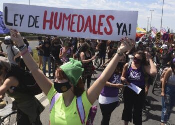 Se vuelve a intentar la sanción de una Ley de Humedales