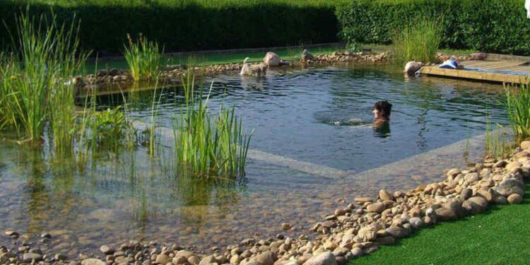 ¿Qué son las piletas ecológicas?