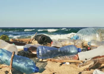 El plástico representa más del 84% de los residuos encontrados en las playas bonaerenses